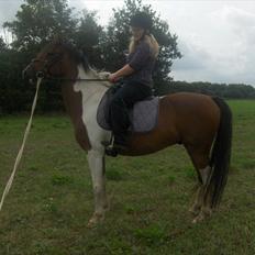 Anden særlig race Bommerlunds Streetboy