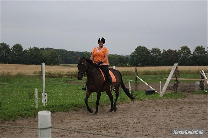Anden særlig race Lauderdale - Undervisning 16 / 8 - 2010 billede 17
