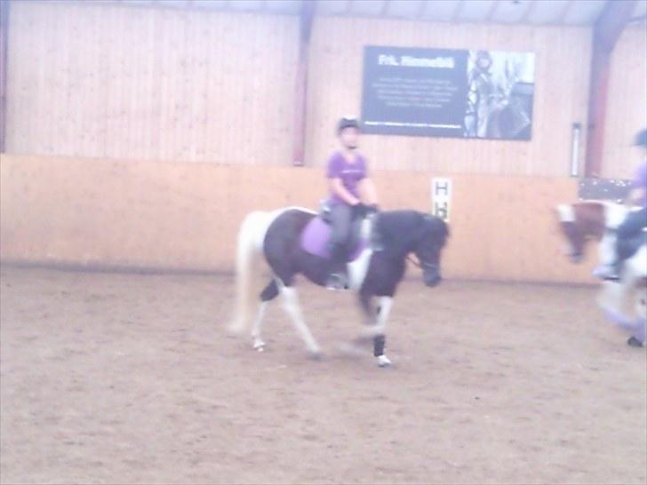 Anden særlig race Prinsesse Ibeline [tidligere part] - Lidt dressur på ponyen :) Fotograf: Christina Holst Tak :D  billede 13