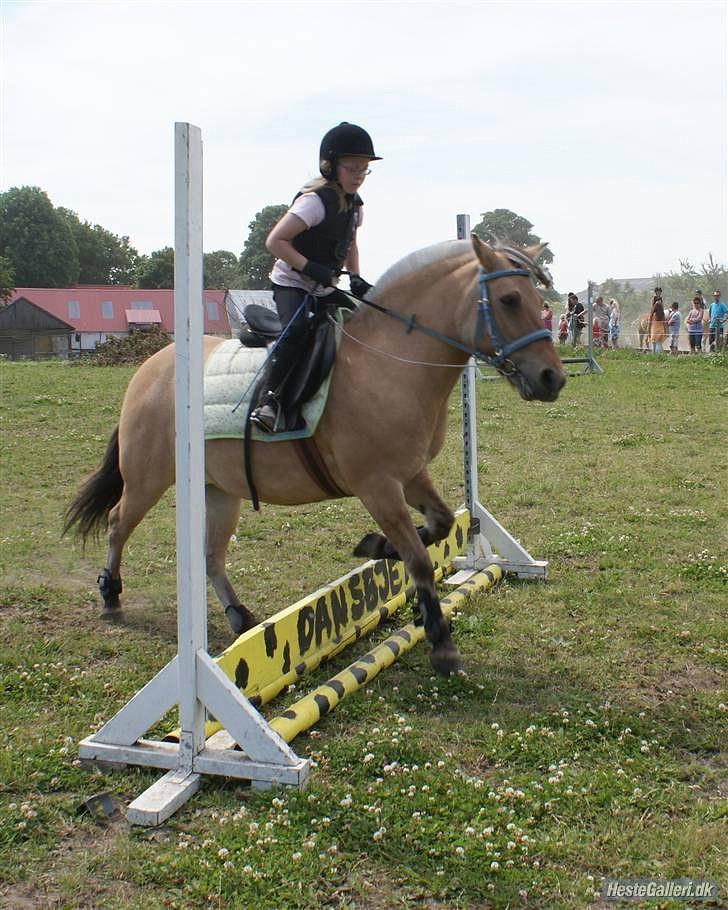 Anden særlig race Tulle (solgt og savnet) - har kun sprunget få gange før... billede 14