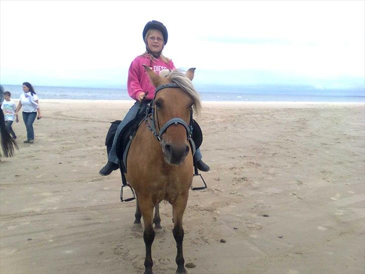 Anden særlig race Tulle (solgt og savnet) - 3.dags tur 09 - Tulle var med sophie på tur og jeg var oppe og hente dem :O) dejlig træt glad pony billede 18