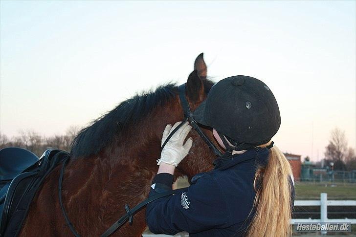 DSP Flicka * Solgt* - Fotograf; Lena Kleinert. billede 16