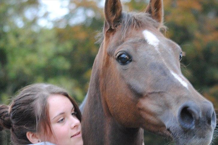 Welsh Pony (sec B) Marieton's Silvy [solgt] - jeg elsker dig<3 du er verdens bedste pony :* billede 9