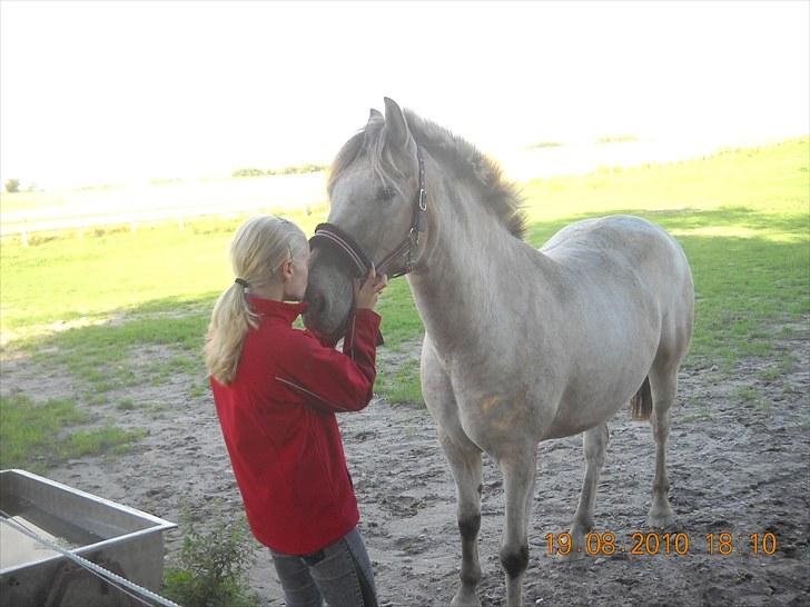 Knabstrupper Inger AKA Brumbas(savnet) - velkommen til Brumbas´s profil :D billede 1