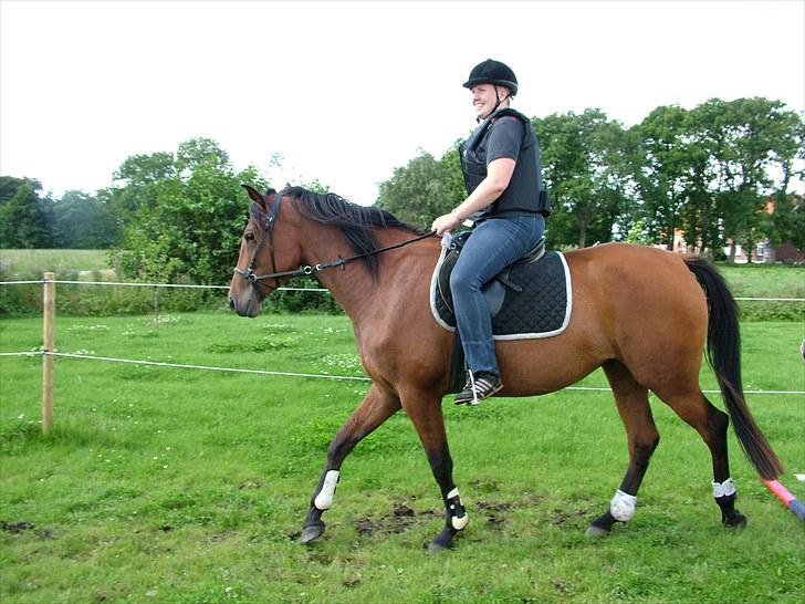 Anden særlig race Star billede 16