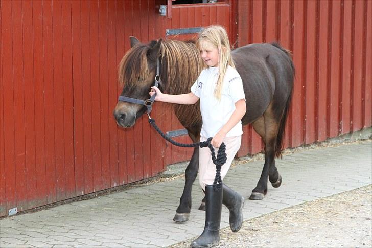 Anden særlig race Alf billede 8