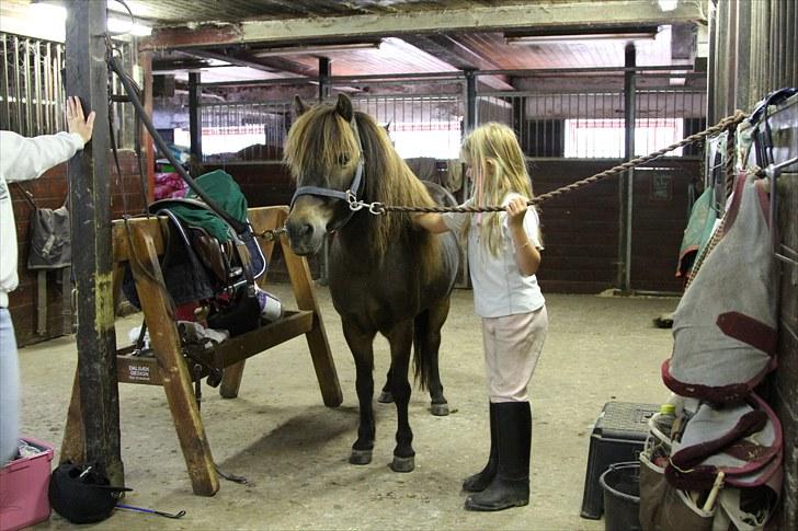 Anden særlig race Alf billede 9
