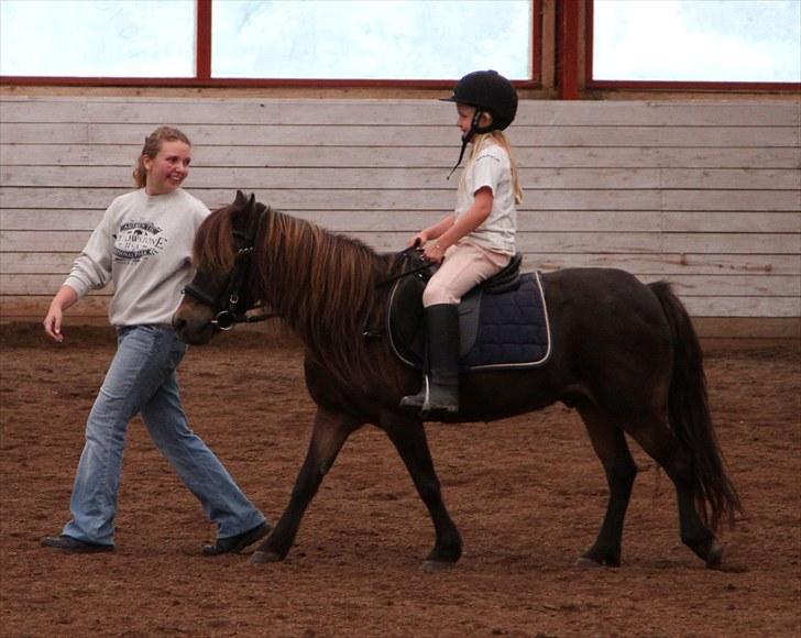 Anden særlig race Alf billede 13