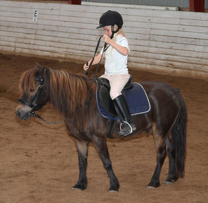 Anden særlig race Alf billede 14