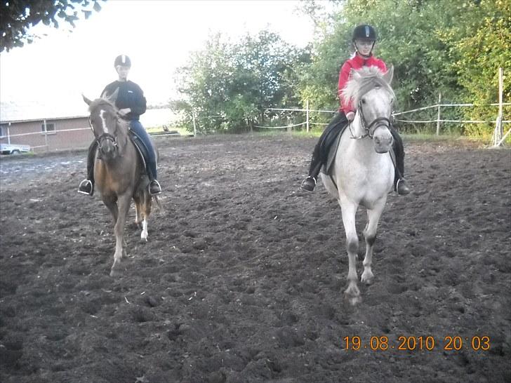 Knabstrupper Inger AKA Brumbas(savnet) - mig og Sarah rider på Brumbas og Rabel.. :D billede 13