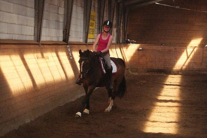 Anden særlig race Marco Polo - Den ubeskrivelige<3 - Polo og mig til stævne på ridelejren:) red LC1 og vandt klassen:D<3 billede 13