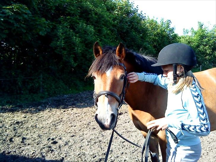 Anden særlig race Sally {Tidligere hest} - Sally din linselus XD billede 10