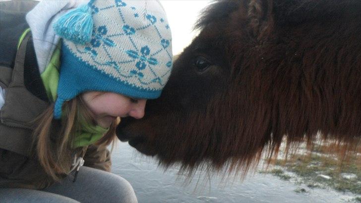 Miniature Nicko - My tiny wings. - Januar 2011. <3 billede 9