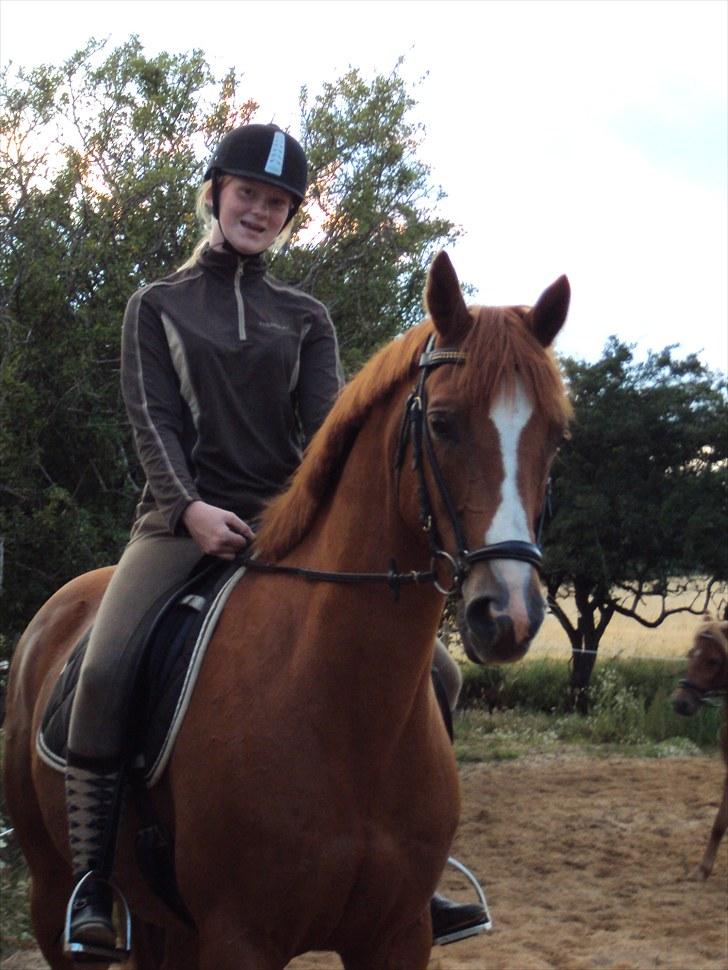 Anden særlig race Corrado - vi er på banen billede 8