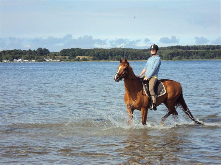 Anden særlig race Corrado - co. og jeg er i vandet billede 10
