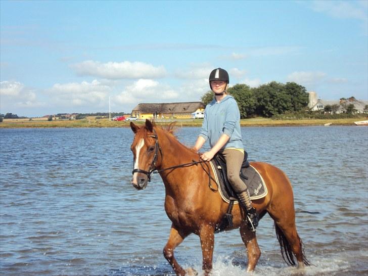 Anden særlig race Corrado - Første tur i vandet.. vi bli´r lidt våde :D billede 5