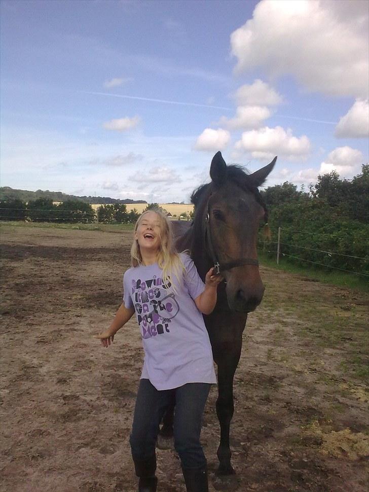 Anden særlig race Cavalina - Første gang jeg så hende billede 2