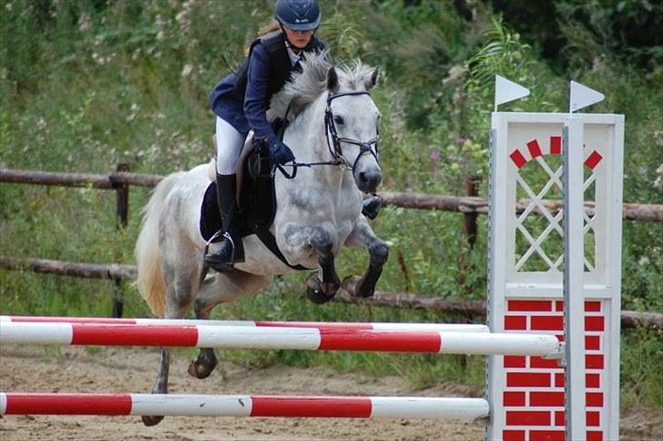 Connemara Siegård's Mynthe |Red| - Velkommen til Mynthes profil |Stævne på KOOR|  billede 1