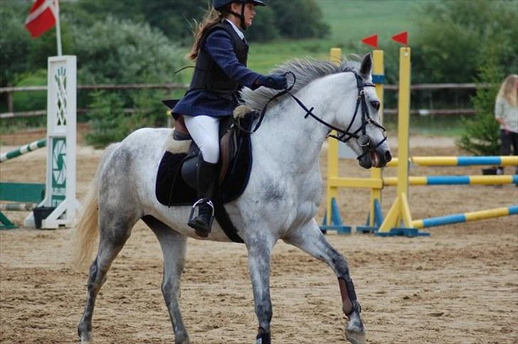 Connemara Siegård's Mynthe |Red| - Stævne på KOOR :D billede 2