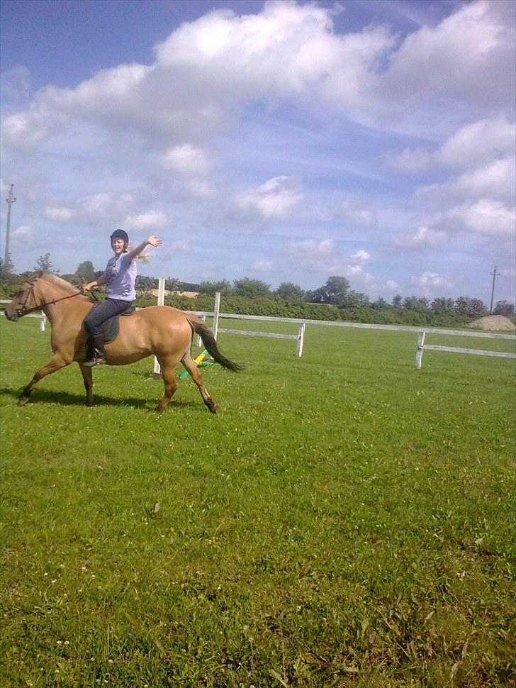 Anden særlig race My Darling - Emilie i galop billede 10