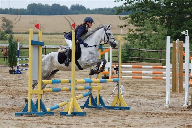 Connemara Siegård's Mynthe |Red| - Stævne på KOOR (: billede 7