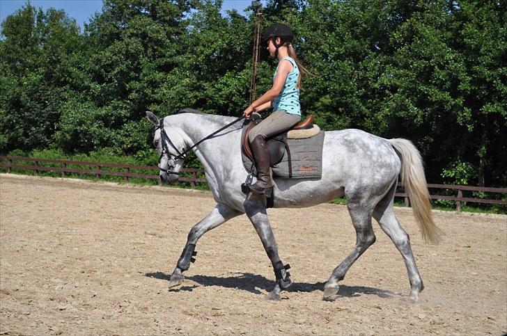 Connemara Siegård's Mynthe |Red| - Dressur på dressurponyen <3 (: billede 8