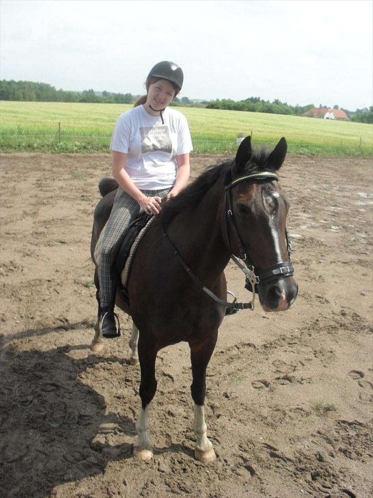 Hollandsk Varmblod Mimira *RIP* - Første dag med hackamore fremfor bid :) billede 14