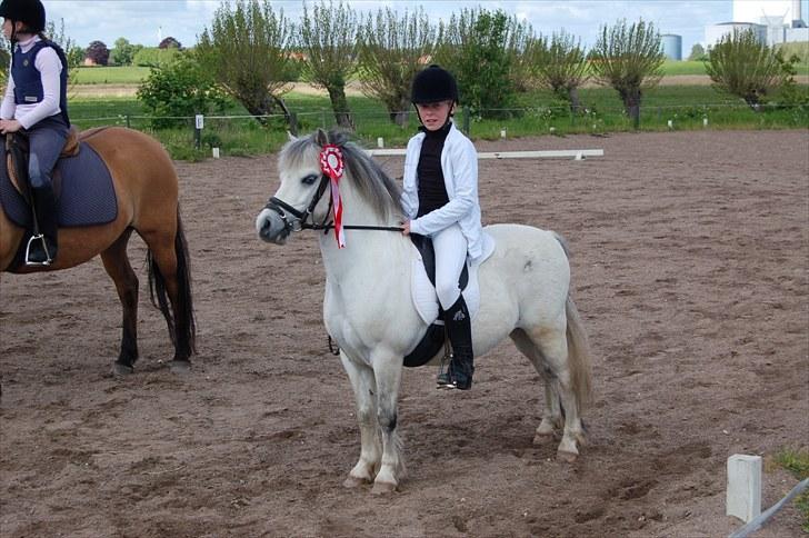 Anden særlig race Carlos<3 *gammel Passer* - <3<3<3<3<3<3<3<3<3<3<3 billede 15