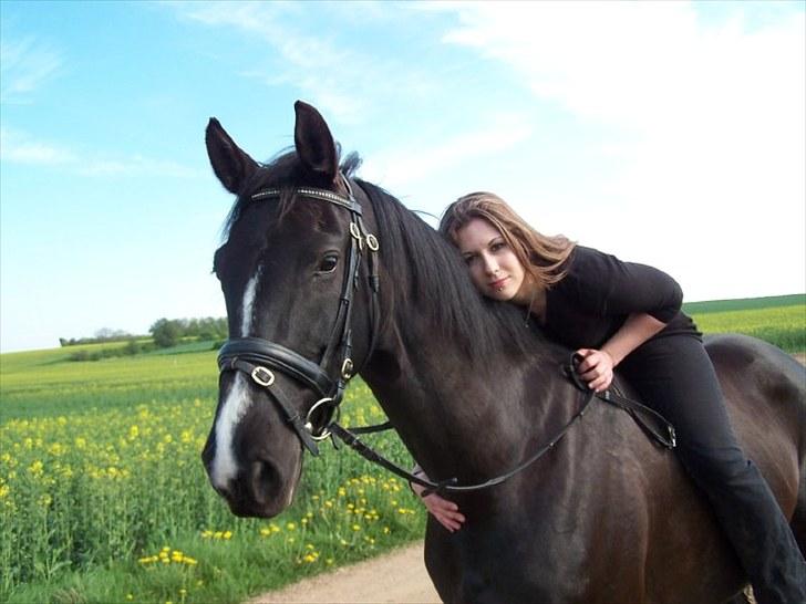 Dansk Varmblod Mata - hari *Savnet* billede 10