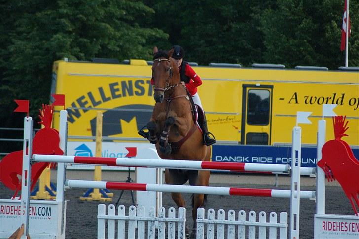 Irsk Hunter Kilcannon Clover (Kylle) - DM stævnet på Vilhelmsborg 2010 billede 10