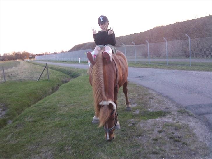 Anden særlig race Lukas  billede 16