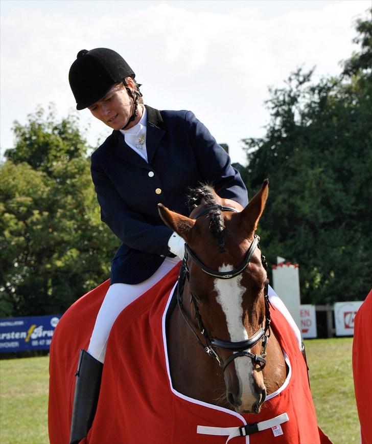Dansk Varmblod Akina-Lorani Holst billede 5
