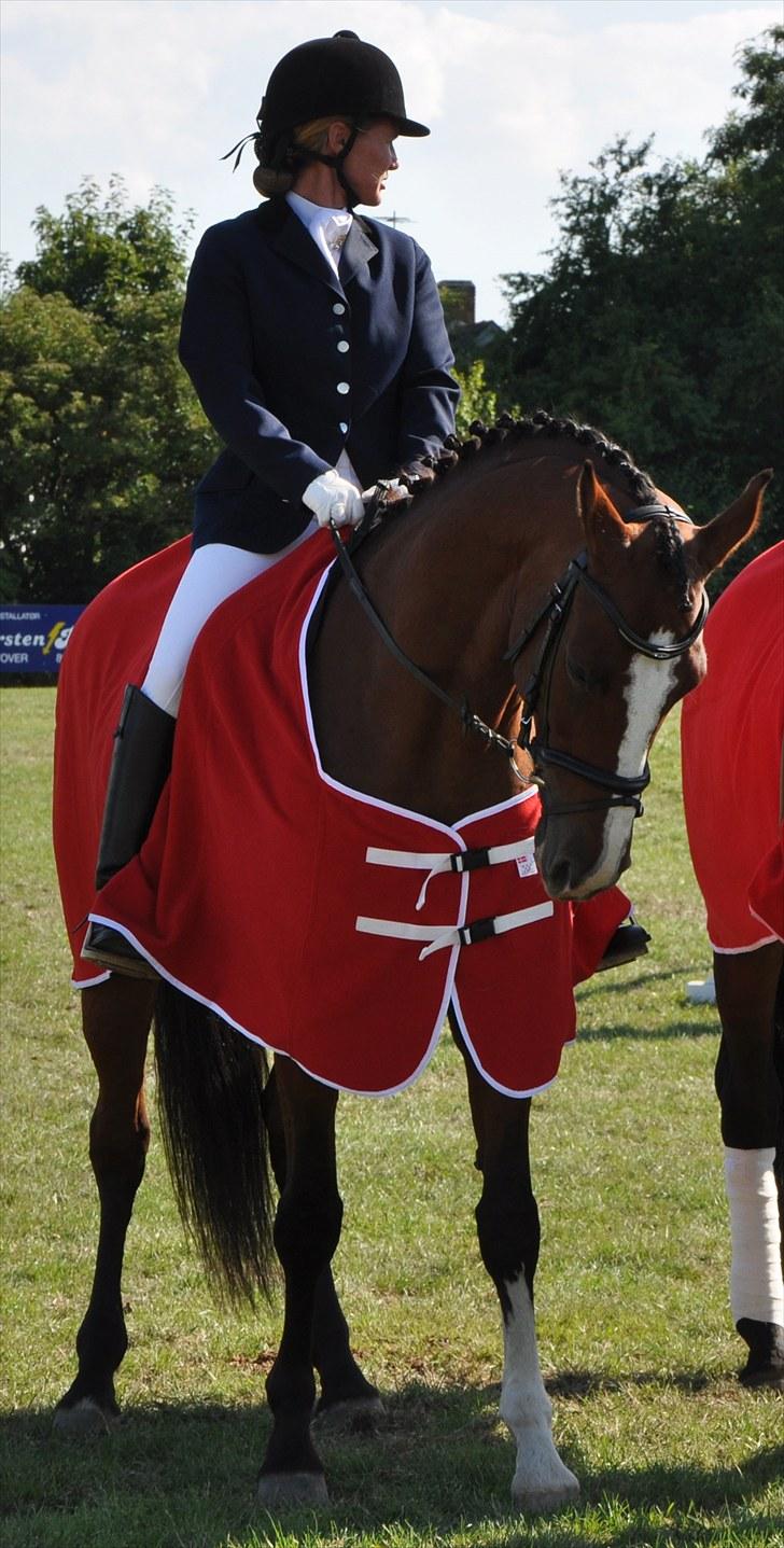 Dansk Varmblod Akina-Lorani Holst billede 6