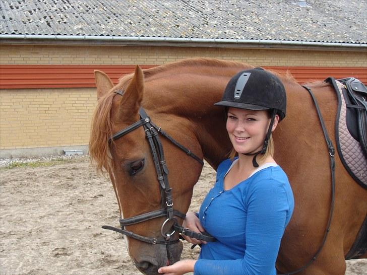 Hannoveraner Conelija billede 1