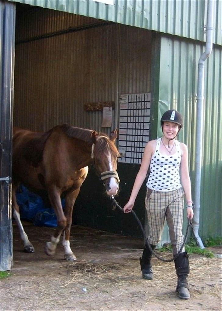 Anden særlig race Flying Fellow   billede 5