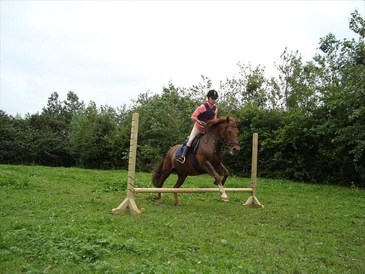 Anden særlig race Summer - en aaf de første gange jeg sprang hjemme!"<3 billede 3