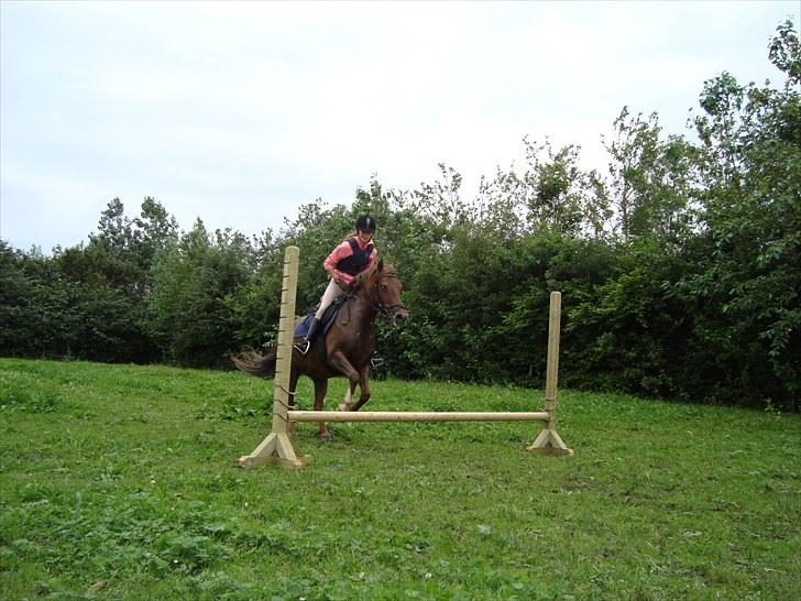 Anden særlig race Summer - også en af de første gange jeg sprang hjemme!"<3 billede 8
