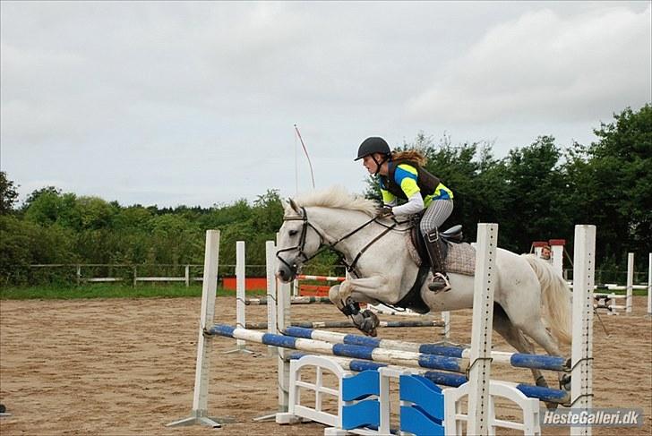 Tysk Sportspony Kobold 161  - Springkursus ved Carl-Johan Krabbe billede 15