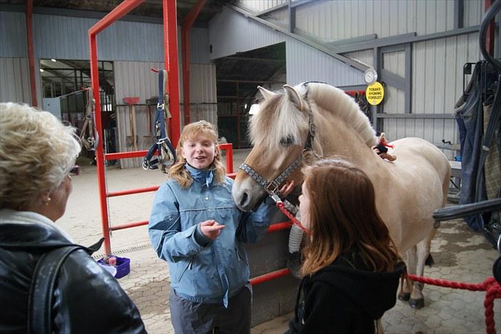 Fjordhest Dalton (R.I.P) Min himmelhest<3 - min dalleber skal til stævne med mig!<3 billede 12