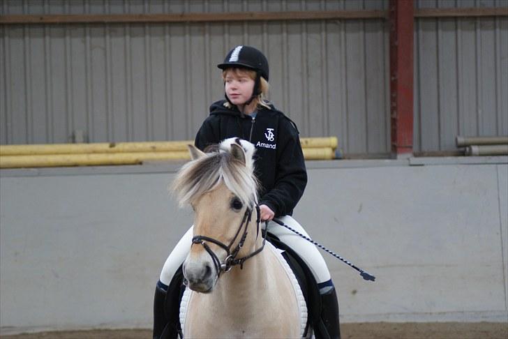 Fjordhest Dalton (R.I.P) Min himmelhest<3 - mig og dalle der kigger! billede 17