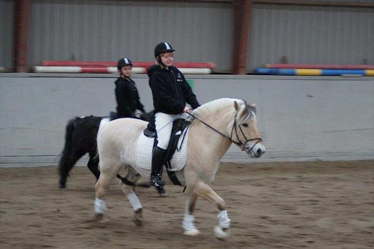 Fjordhest Dalton (R.I.P) Min himmelhest<3 - mølle!mig dalle var bedst<3 billede 18