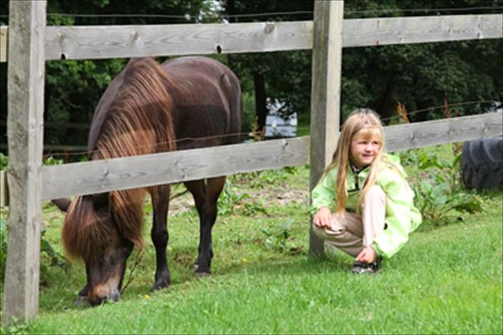 Anden særlig race Alf billede 17