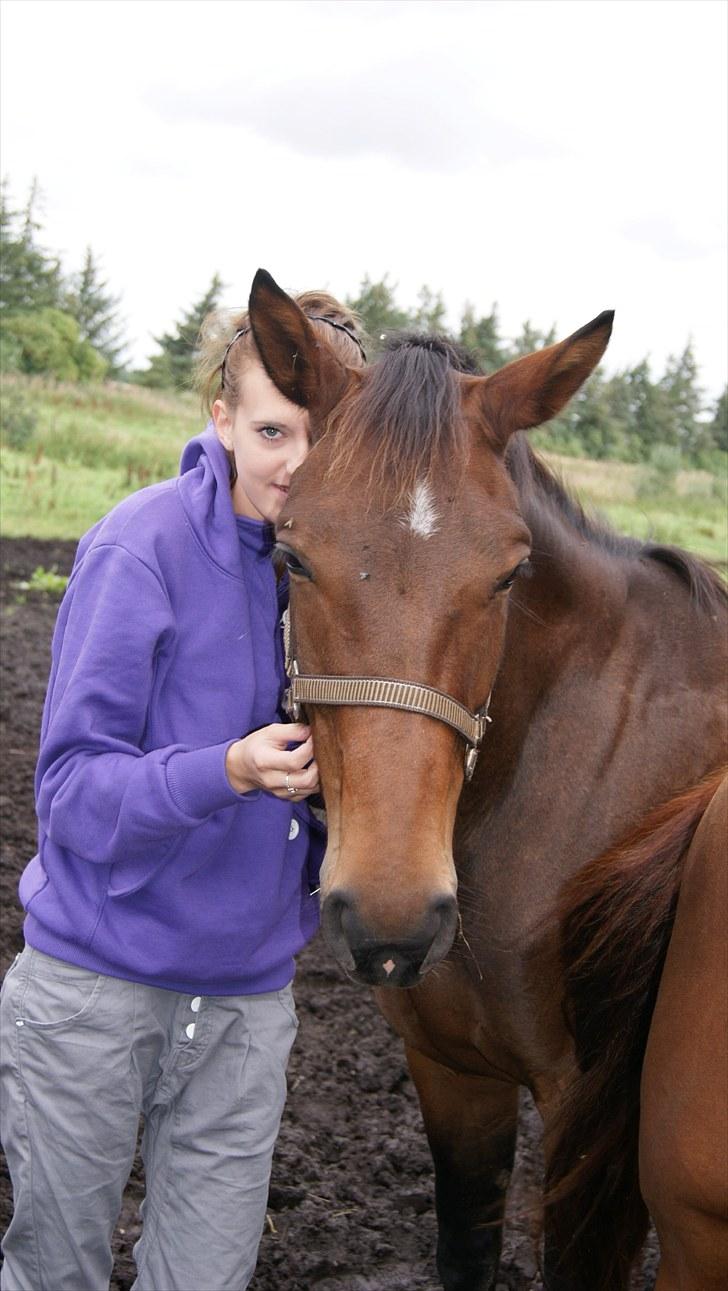 Dansk Varmblod Tøsen - billede 20 du er den enste jeg kan stole på <3 billede 20
