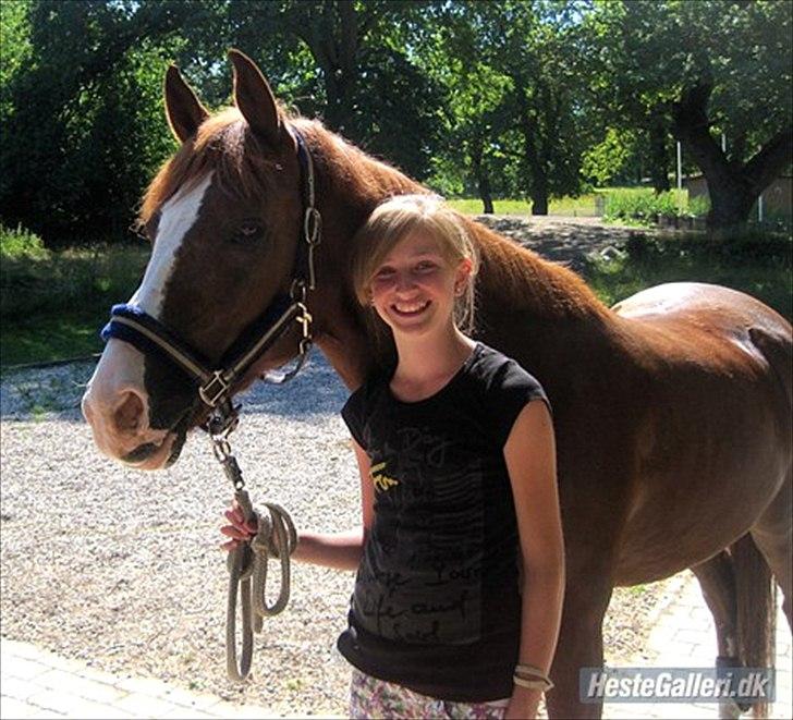 Anden særlig race tango billede 3