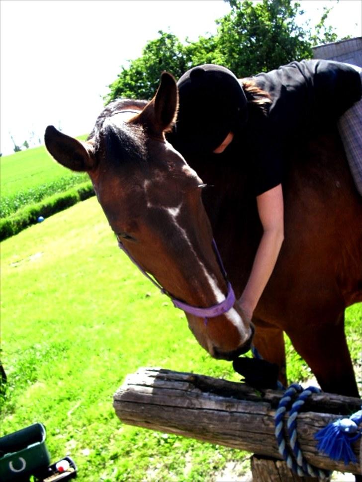 Oldenborg Yasmin (Molique) - "hvad er det dog for en underlig en der sidder på mig?" billede 2