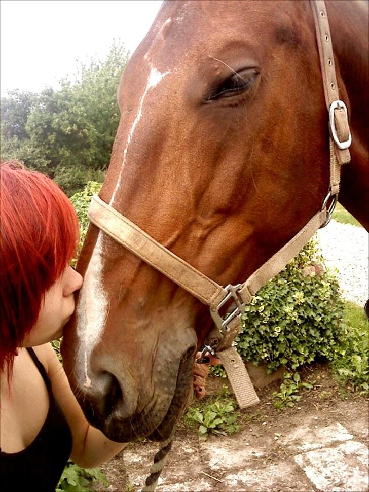 Oldenborg Yasmin (Molique) - møsmøs <3
foto: mig billede 3