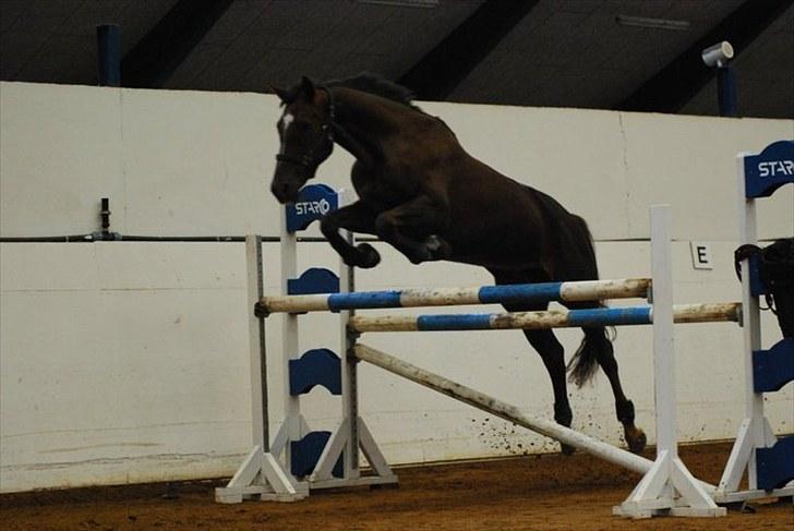 Oldenborg Egelund Nova - Løsspringning d. 21/8 på TronsøSkolen, Fotograf: Anita Rasmussen :D billede 2