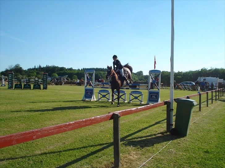 Oldenborg Egelund Nova - Nova og Georgia Timmermann, tidligere ejer, til landsstævne i Kolding. Her i en LA. billede 3