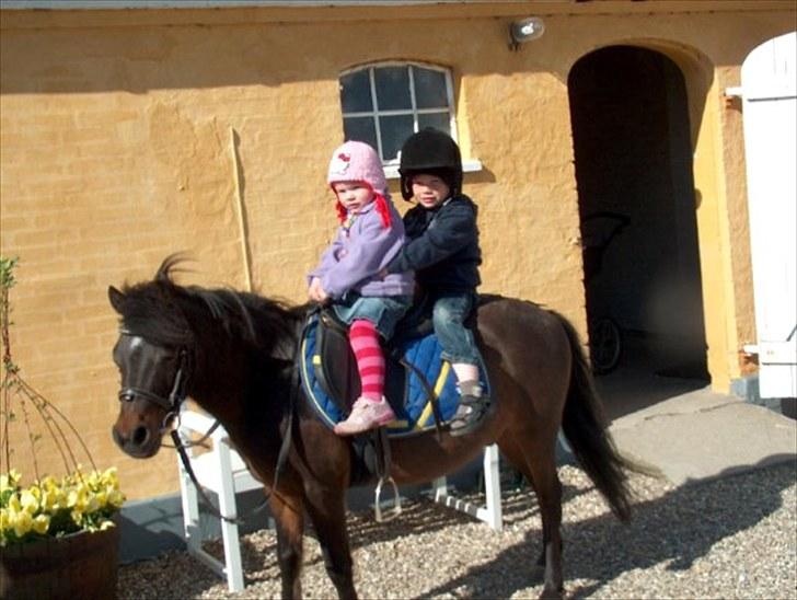 Anden særlig race Felix  - En sand børneven ! billede 9