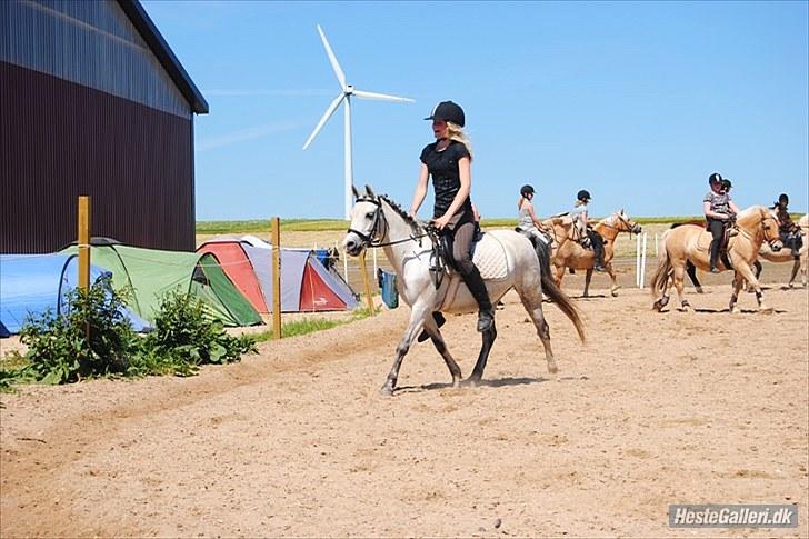 Welsh Pony (sec B) Bess - Ridelejer 2010 i Rideklubben SVEJ<3 *MSP FOTO* billede 6